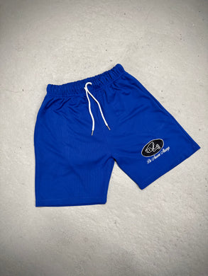 MESH SHORTS (BLUE)